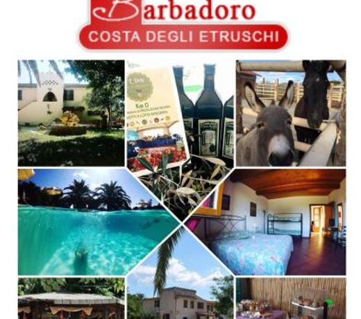 Agriturismo Barbadoro