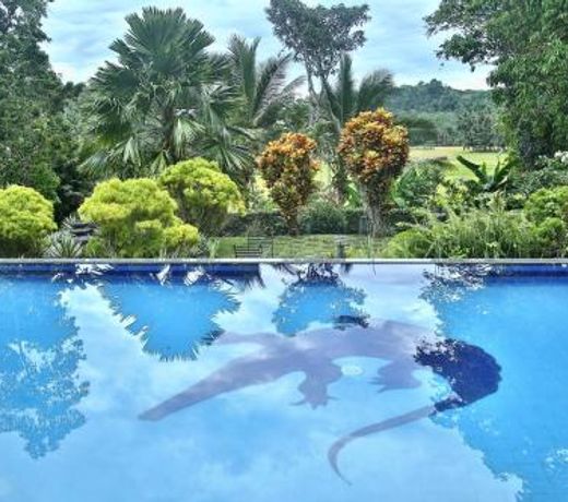 Lazy Lizard Villa