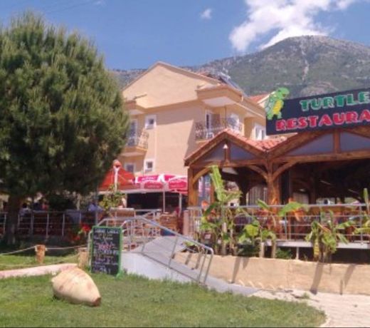 Turtle Apart Hotel