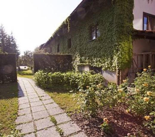 PUNTO VERDE