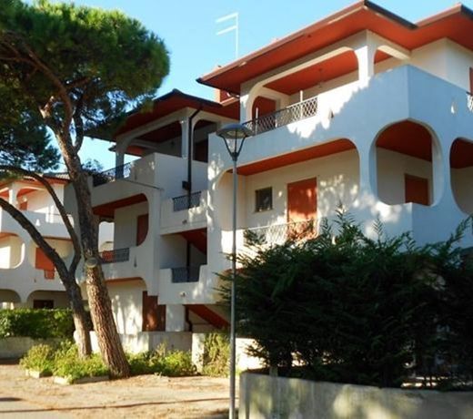 Apartment in Rosolina Mare 25013