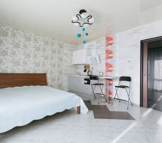Apartamenty Svetlica Shamshinykh 90/5 studio