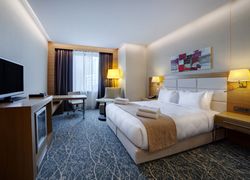Отель Holiday Inn Baku фото 3, г. Баку, 