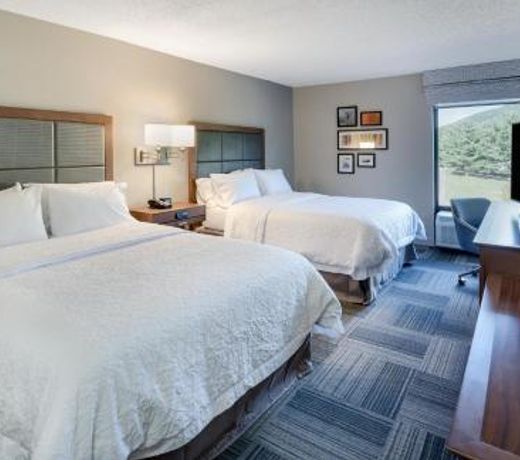 Hampton Inn Covington VA
