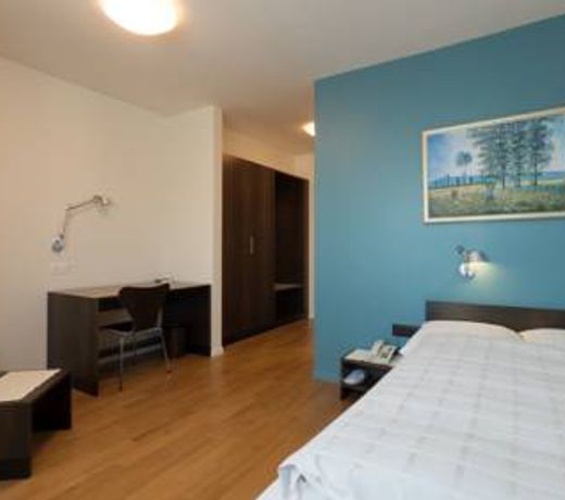 Hotel Terminus Brugg