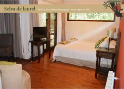 Selva de Laurel фото 3, г. Игуасу, 