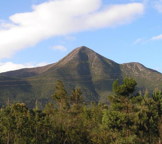 Fijnbosch Cottage and Camping