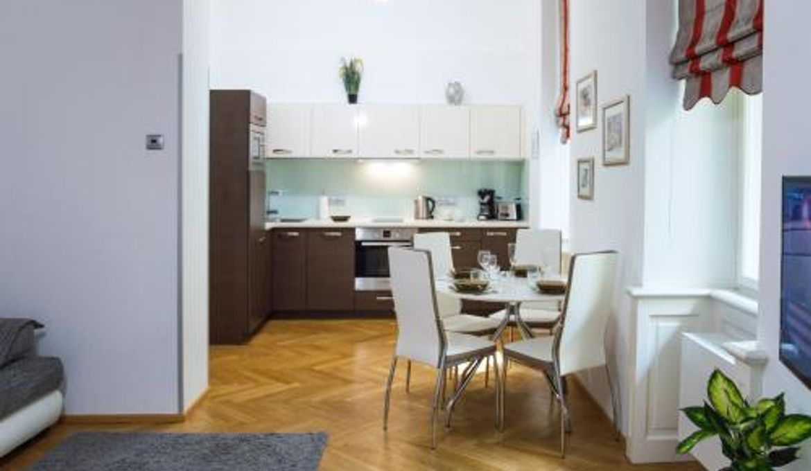 Modern Apartment Vsehrdova