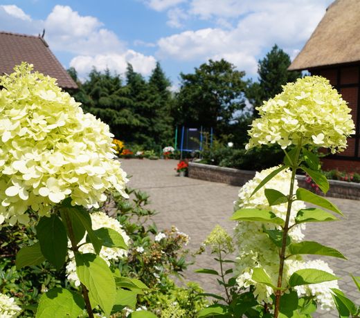 Buchenhof-Nordheide in der Luneburger Heide
