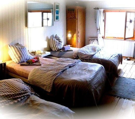 Dog Friendly Guesthouse Scadena