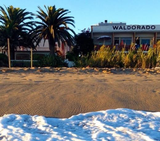 Apartment Waldorado