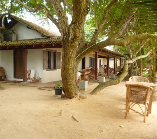 The Shack