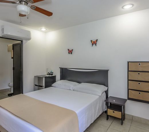 Pedregal Manor with 45 Private Rooms & FREE ULTRA HIGH SPEED INTERNET