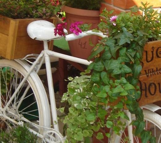 Guest House Viktoriya