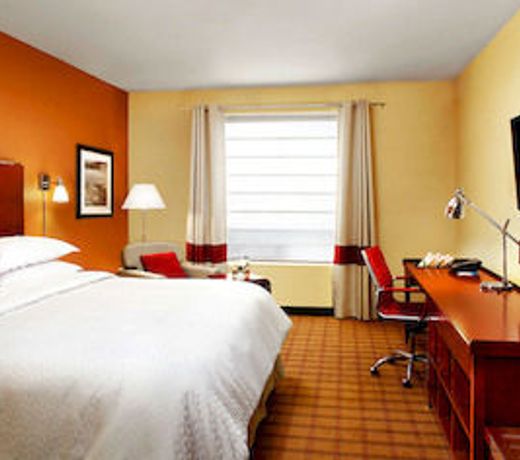 Radisson Hotel Agra