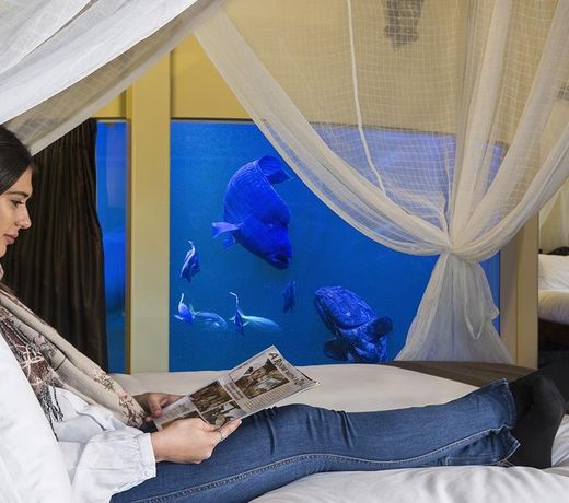 Jamala Wildlife Lodge