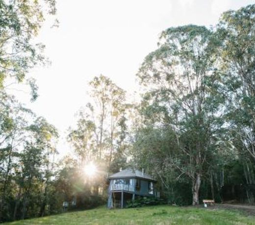 Bluegums Cabins Barrington Tops
