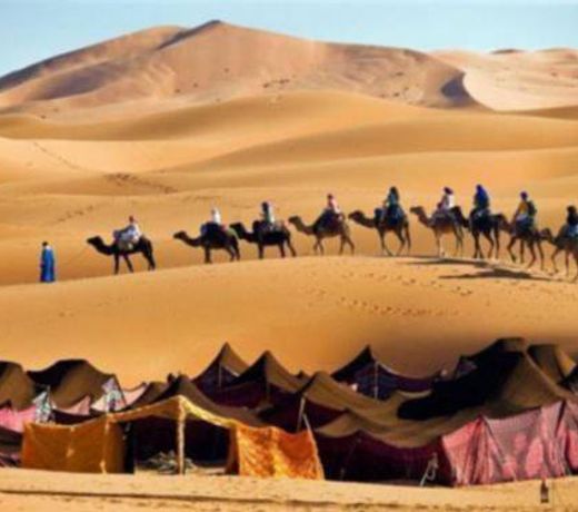 Barak Desert Camp
