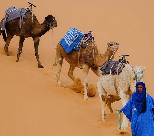 Barak Desert Camp