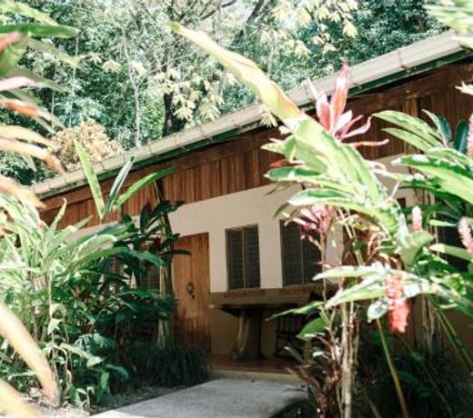 Star Mountain Jungle Lodge - Mal Pais, Santa Teresa