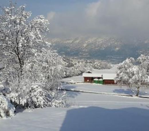 Chalet Esher Surrey