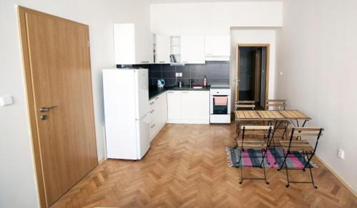 Comfortable Apartment Vlkova