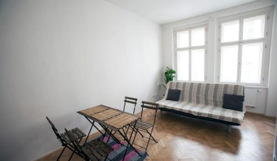 Comfortable Apartment Vlkova