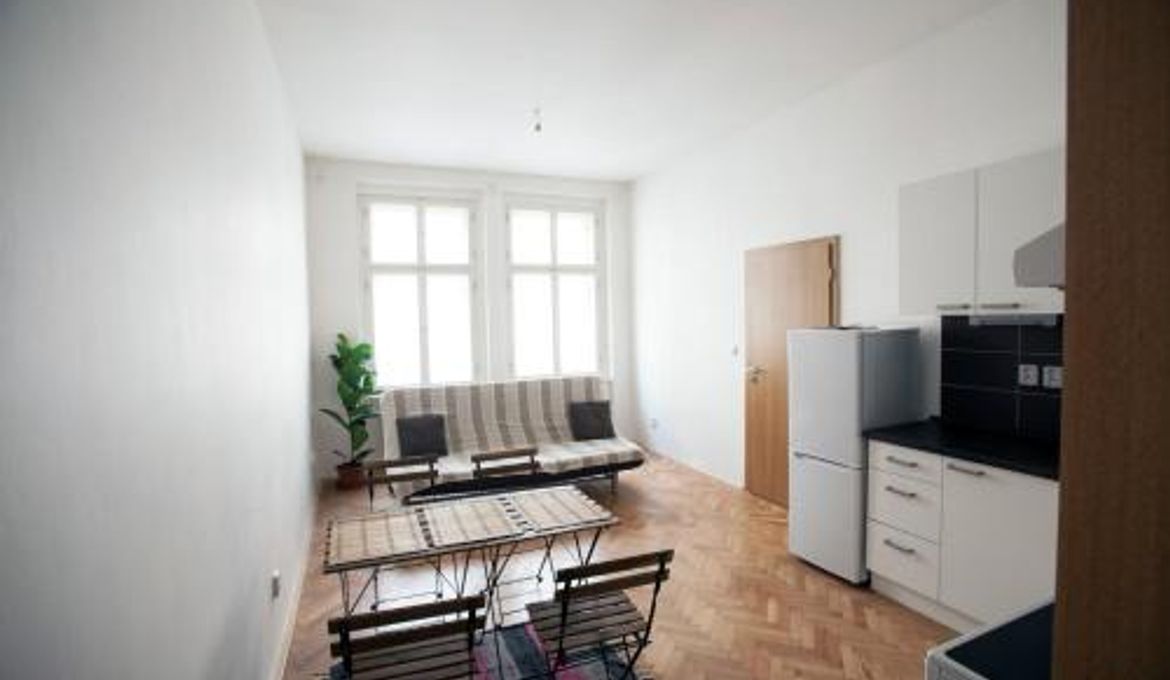 Comfortable Apartment Vlkova