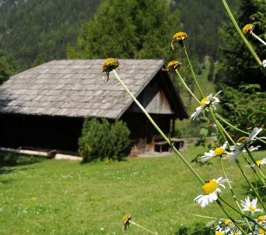 Chalet Wildgall