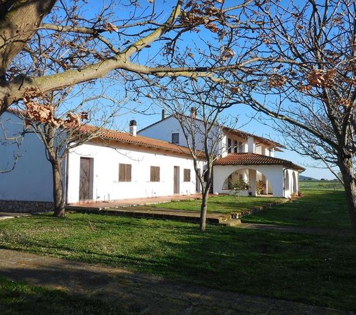 Azienda Il Tizzano