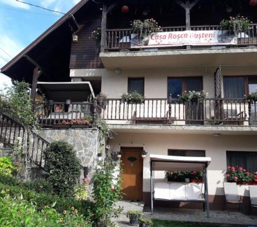 Casa Rosca Busteni