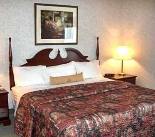Best Western Swan Castle Inn