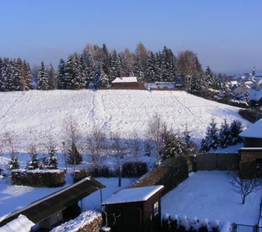 Waldrandzauber