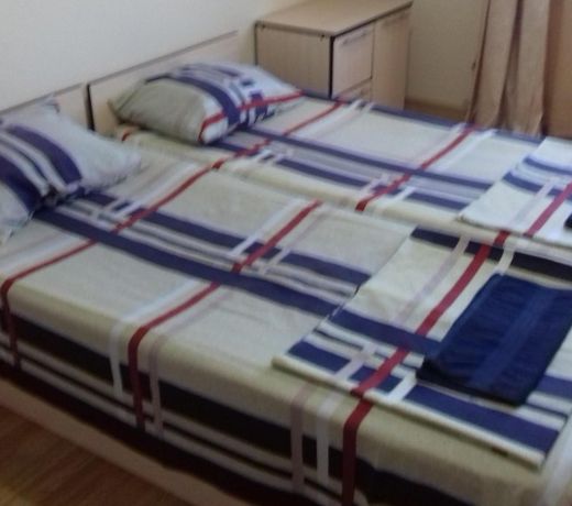 Delfin Guest House