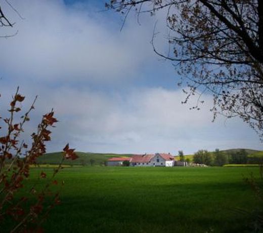Bed & Breakfast Vinkille