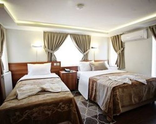 Taksim Palace Hotel - Стамбул - фото 5