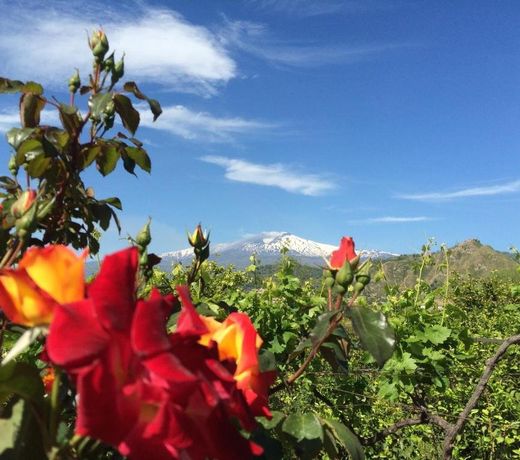 Il Giardino Segreto B&B