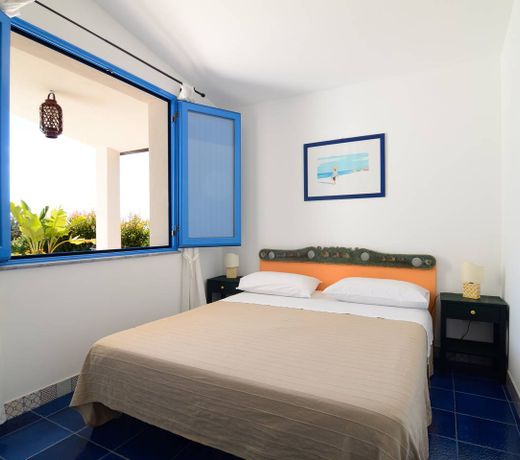 Avocado B&B Beyond