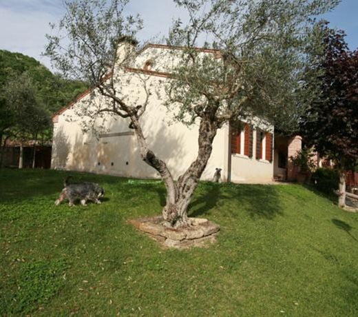 B&B Contarine
