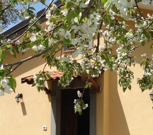 Il Giardino di Giuseppe