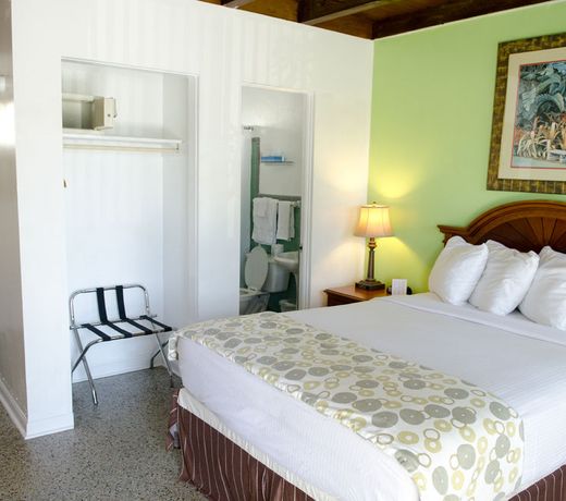 Daytona Dream Inn