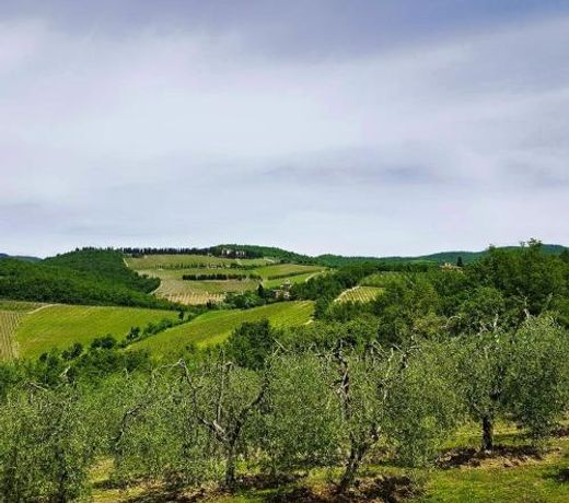 Holiday House Le Selvole