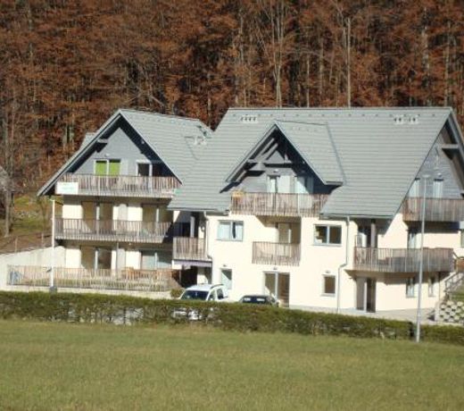 Apartments Holin