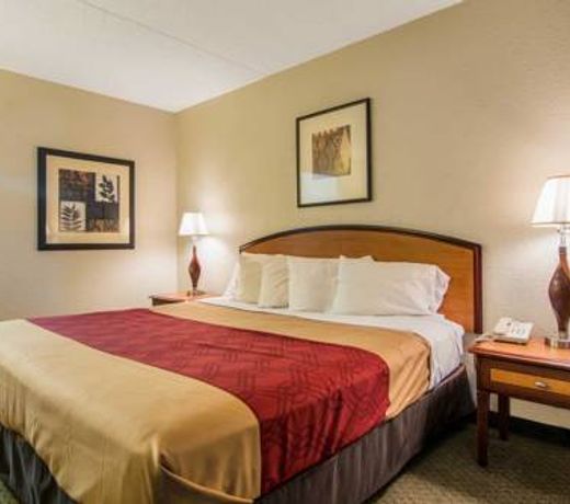 Econo Lodge Inn & Suites Conference Center Dublin