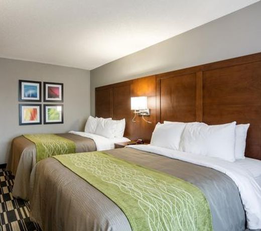 Quality Inn & Suites Ashland near Kings Dominion