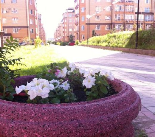 Apartment Shukshina