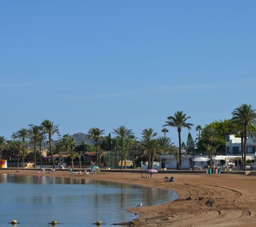 Albatros Playa 2 - 5105