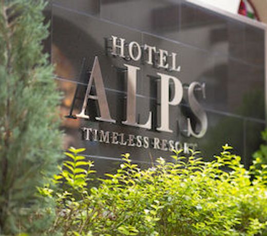 Hotel Alps