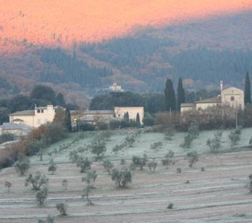 Bioagriturismo Podere Montisi