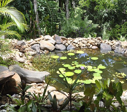 Tropical Bliss bed and breakfast